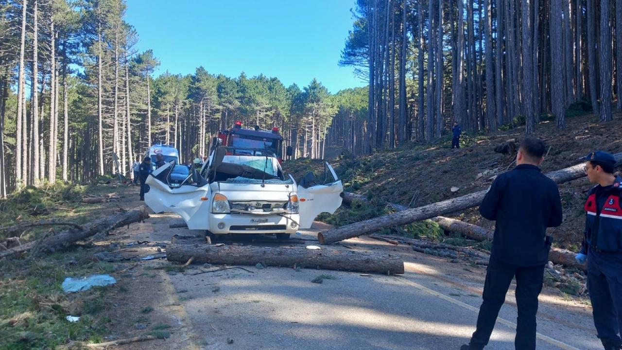 Bursa'da kesilen ağaç seyir halindeki kamyonetin üzerine devrildi: 1 ölü, 2 yaralı