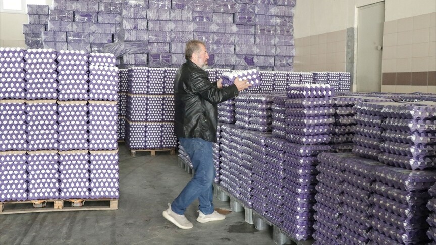 Yumurta üreticisi "mayıs çukuru"nda ihracat kotasının artmasıyla nefes aldı
