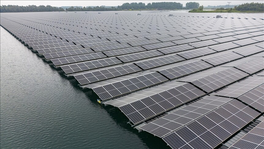 Yüzer güneş enerji santralleri doğal yaşama çatı oluyor