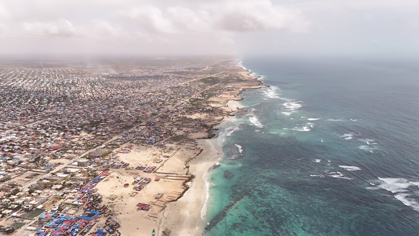 Afrika'nın mavi kaynakları üzerinde kaçak avcılık ve yabancı filolar baskısı artıyor
