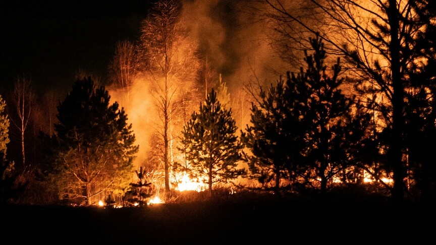 ABD'nin Georgia eyaletinde orman yangınlarında 120'den fazla ev kül oldu