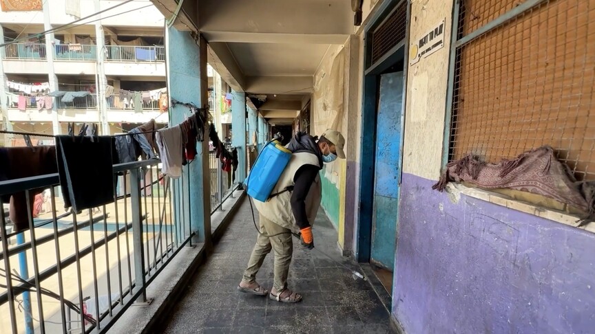 Gazze'de yerinden edilen Filistinliler, sığınma merkezlerinde haşereyle mücadele ediyor