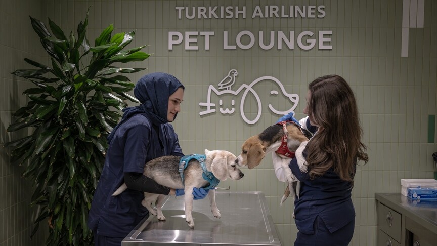 THY'den kargoda taşınabilen evcil hayvanlara İstanbul Havalimanı'nda özel salon hizmeti